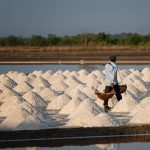 impor beras indonesia india